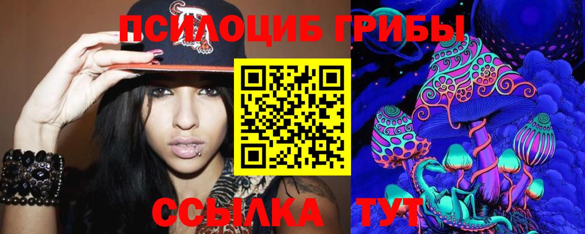 Галлюциногенные грибы Psilocybe Минусинск