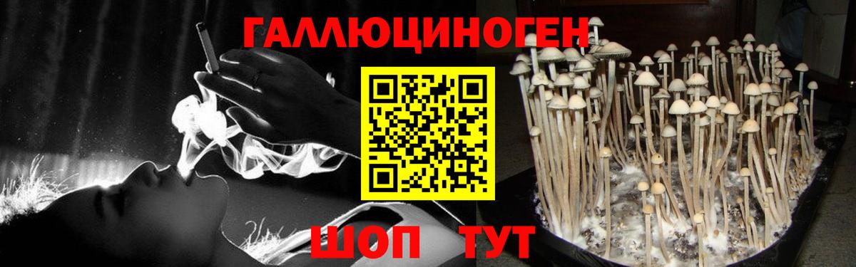 Галлюциногенные грибы Psilocybe  Псилоцибиновые грибы мухоморы  Вход с VPN  как найти закладки  Минусинск 